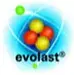 FFKM Evolast