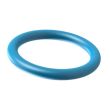 O-ring FVMQ 80 Blue